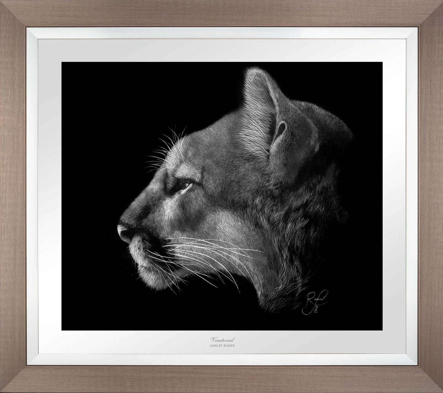 Venetorial - Limited Edition Paper