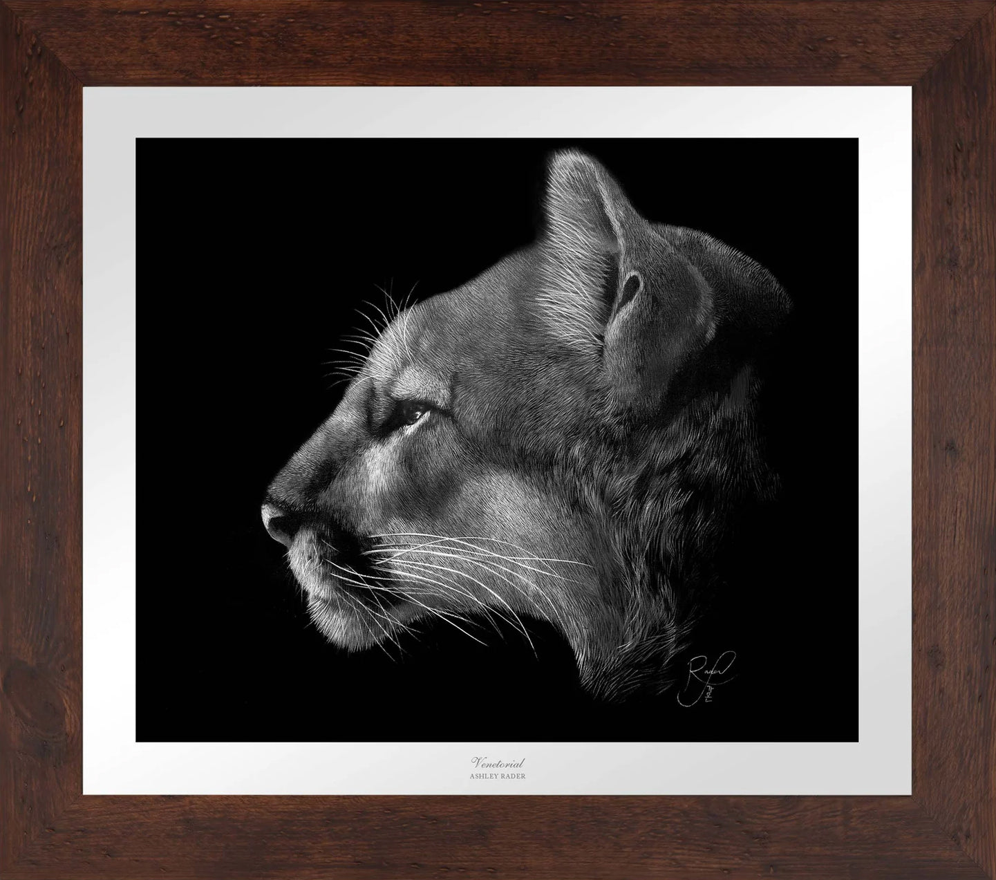 Venetorial - Limited Edition Paper