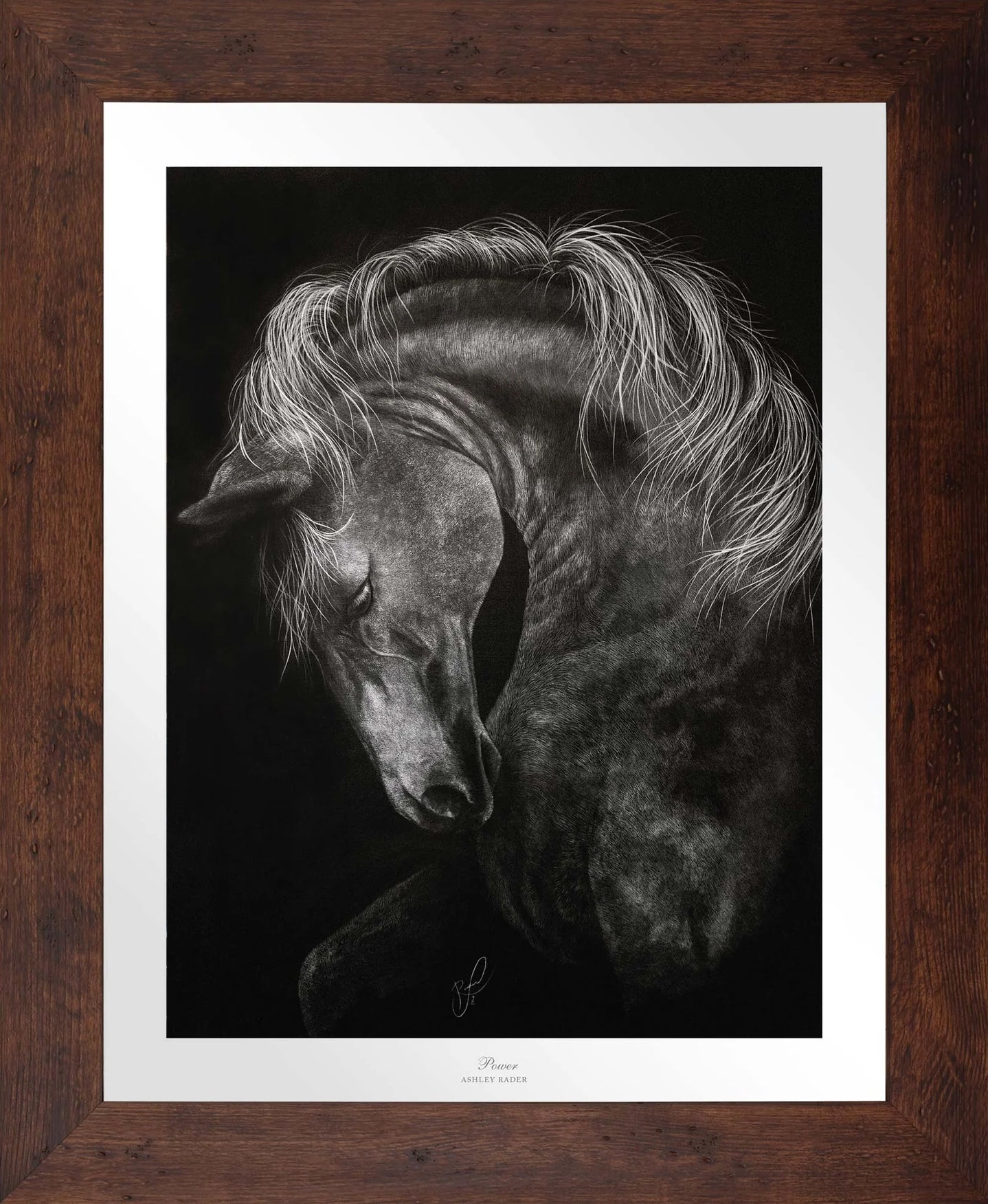 Power - Limited Edition Paper