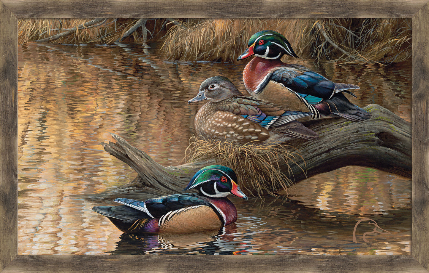 Sitting Pretty - Wood Ducks - 18" x 30" Framed Wood Sign
