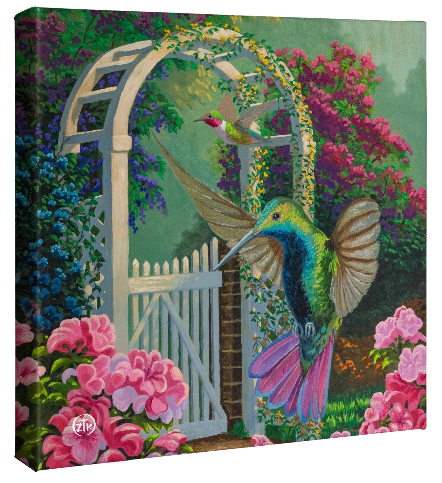 Humming Along - 14" x 14" Gallery Wrapped Canvas