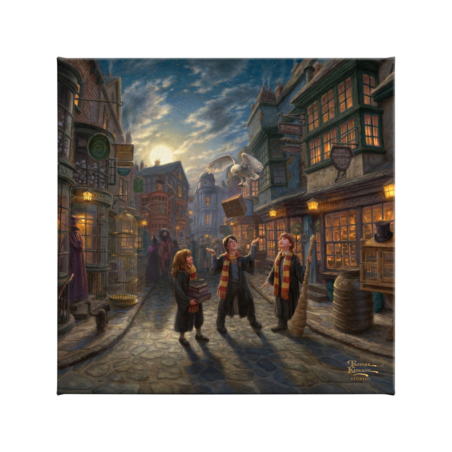 Harry Potter™ Diagon Alley™ - 14" x 14" Gallery Wrapped Canvas