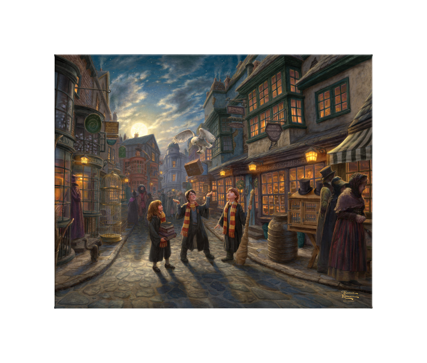 Harry Potter™ Diagon Alley™ - 24" x 30" Gallery Wrapped Canvas