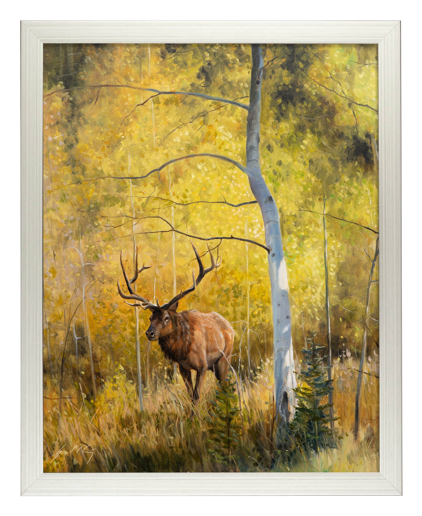 Under the Aspens - Art Prints