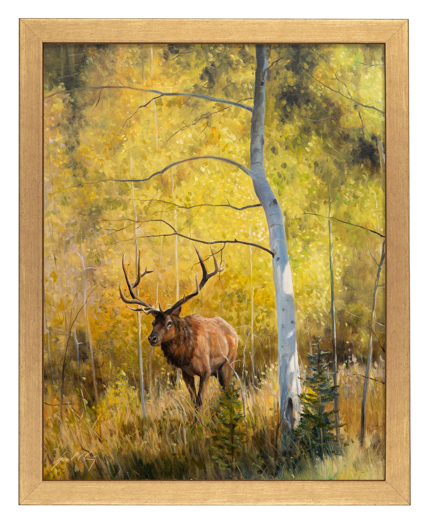 Under the Aspens - Art Prints