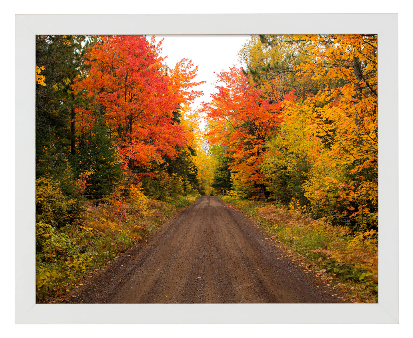 Autumn Bliss - Art Prints