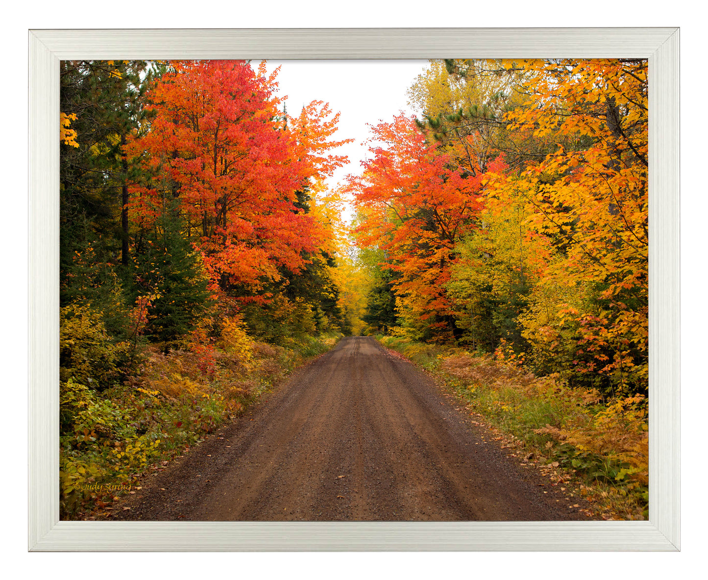 Autumn Bliss - Art Prints