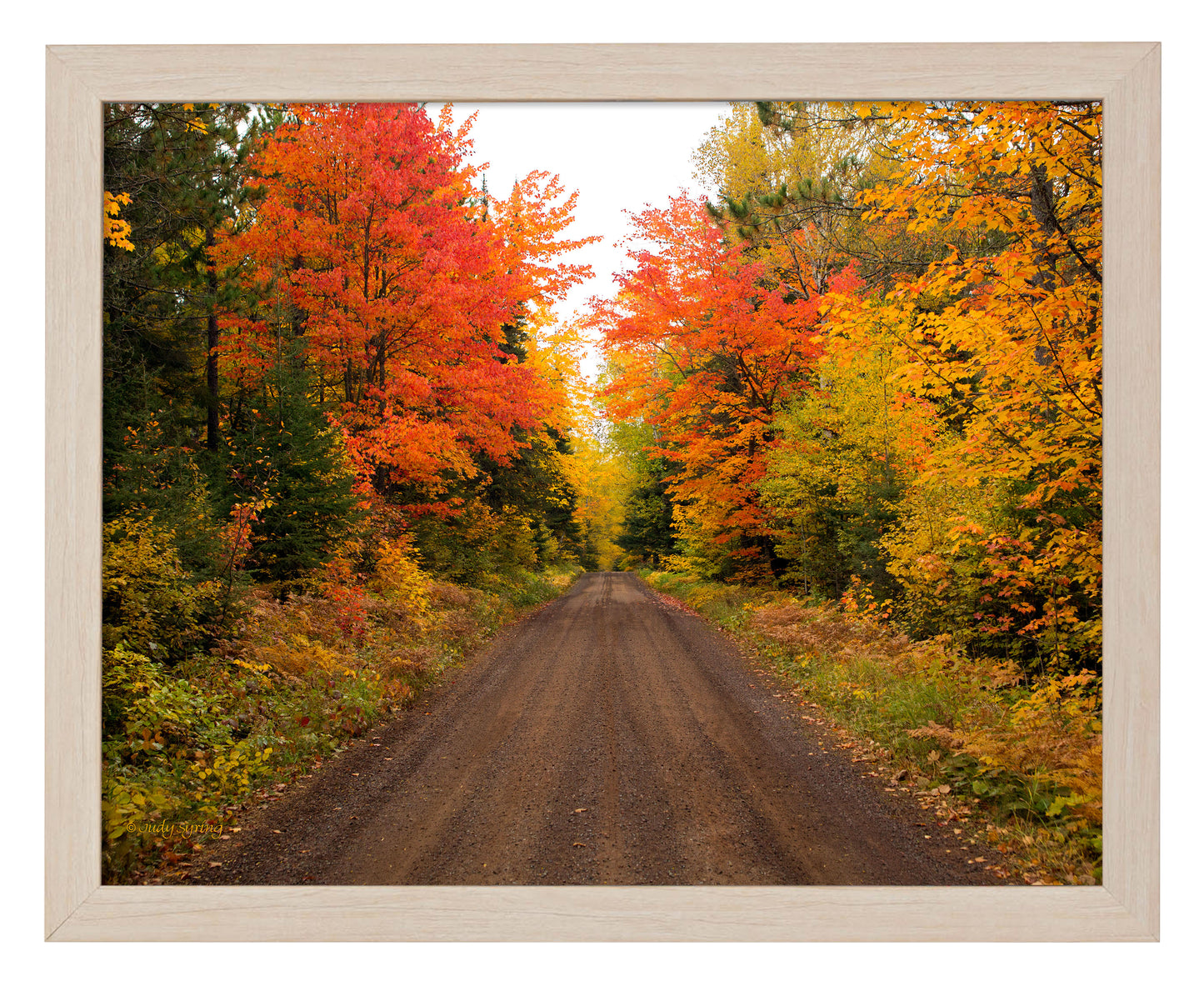 Autumn Bliss - Art Prints