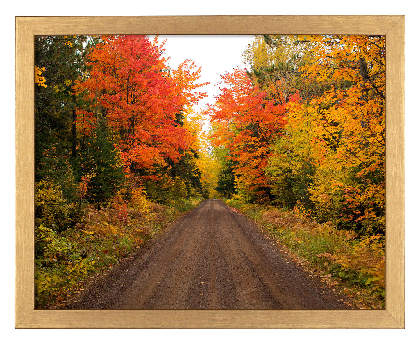 Autumn Bliss - Art Prints