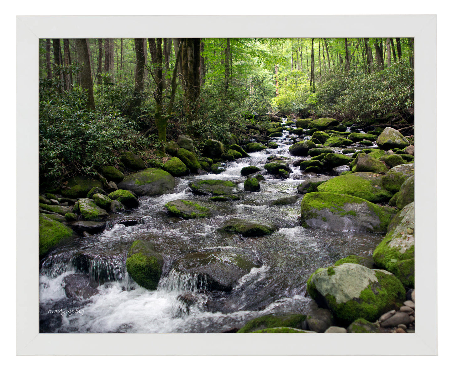 Cascading Stream_Art Prints
