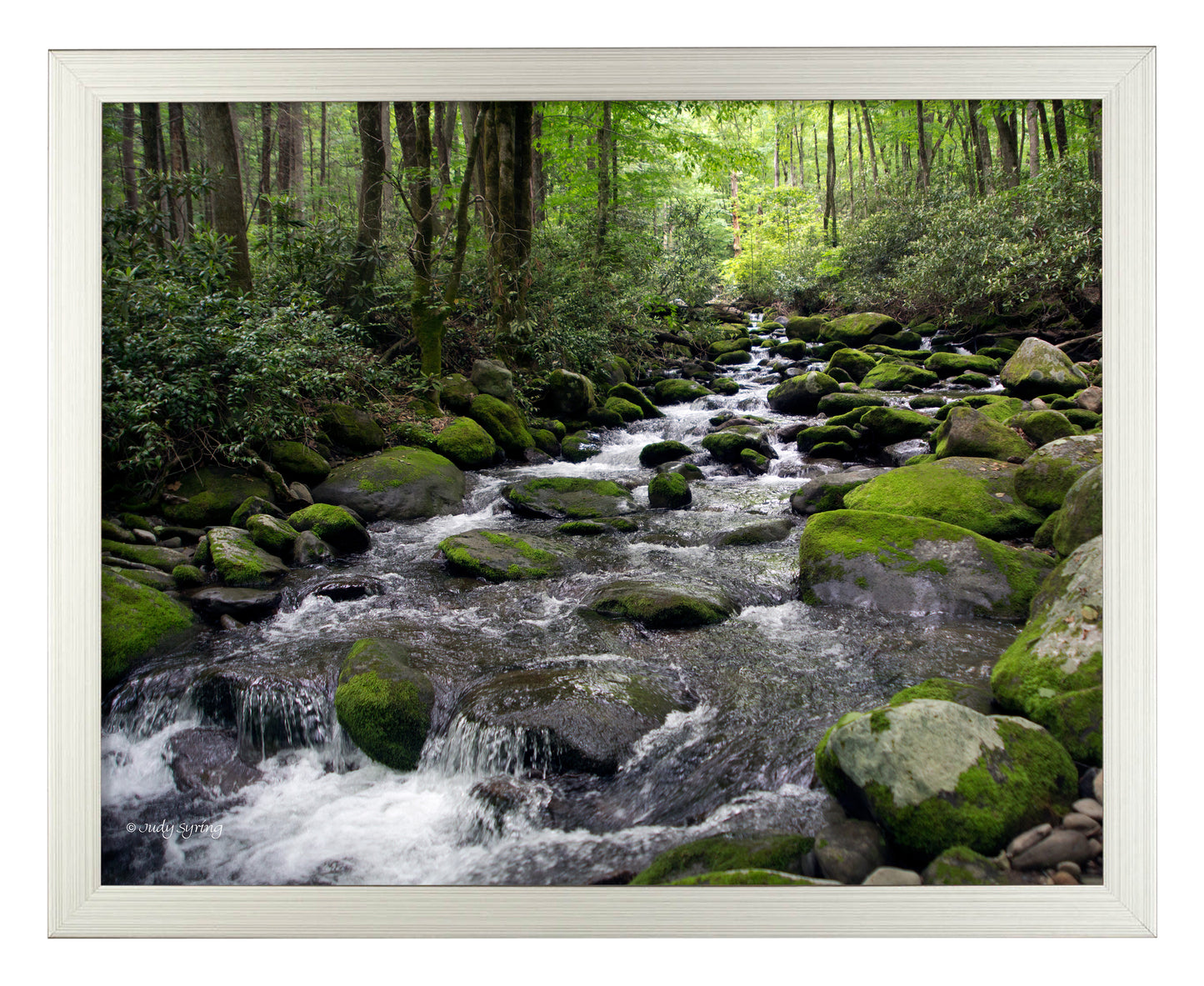 Cascading Stream_Art Prints