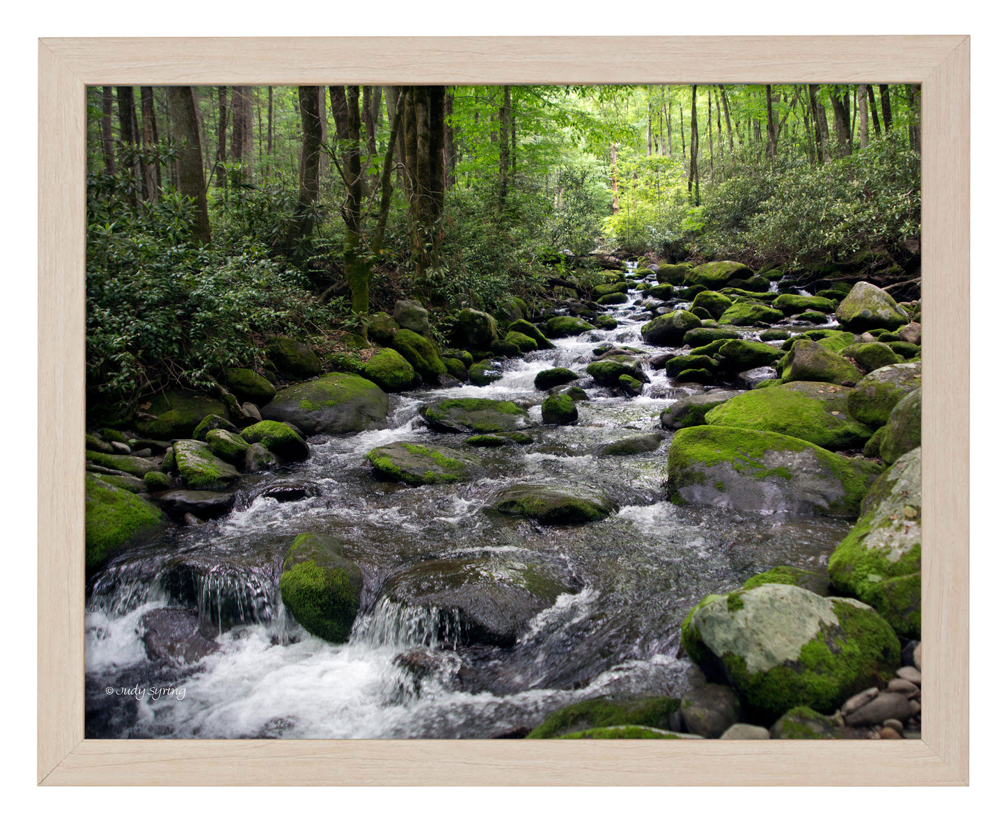 Cascading Stream_Art Prints