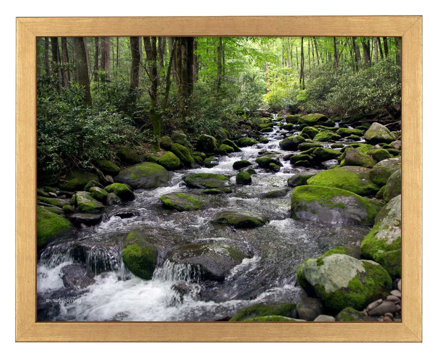 Cascading Stream_Art Prints