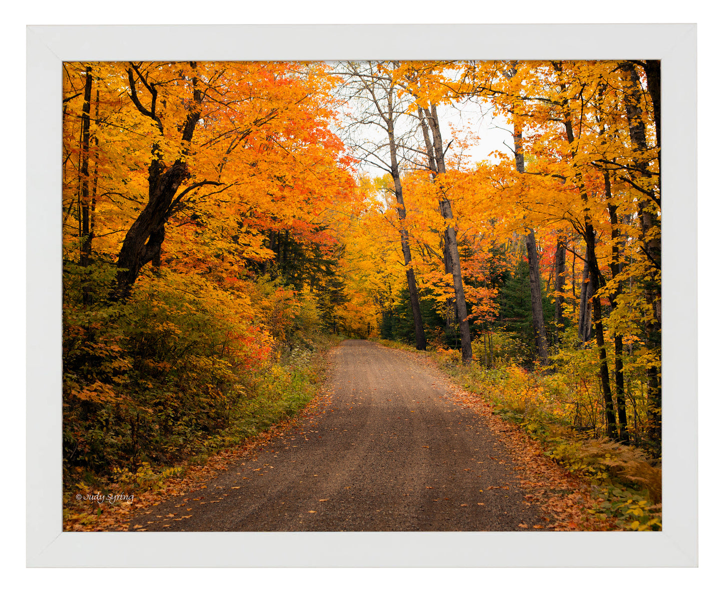 Round the Bend_Art Prints