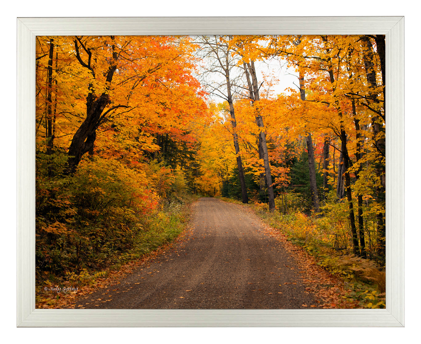 Round the Bend_Art Prints