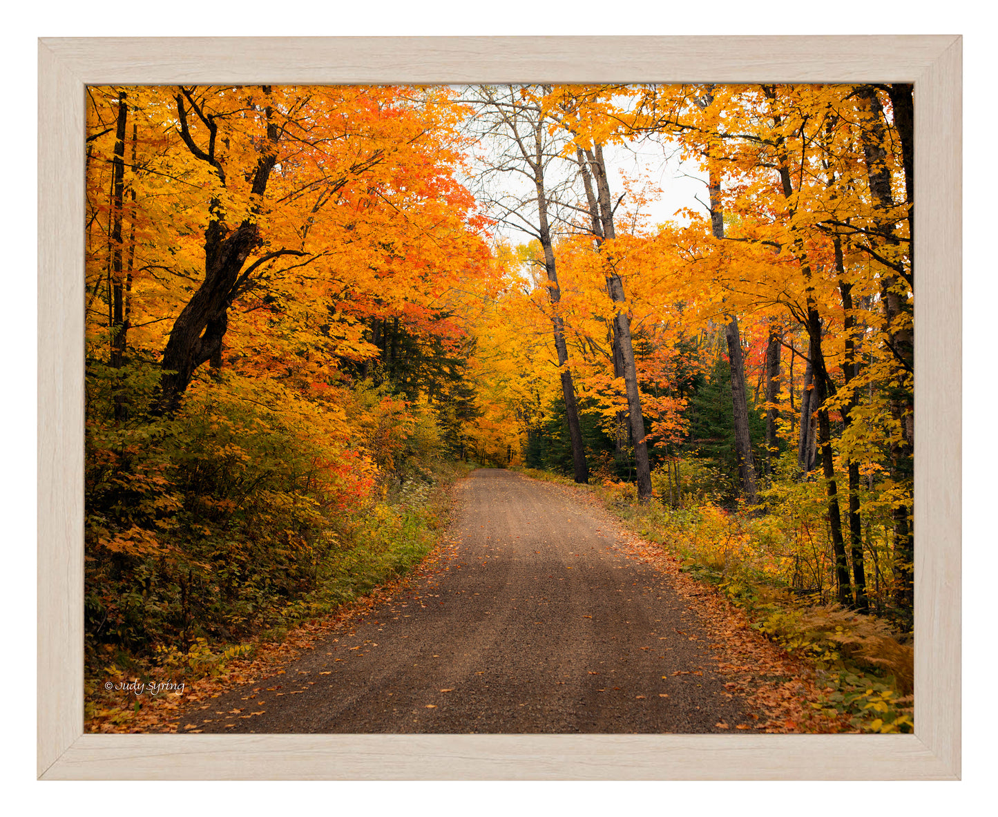 Round the Bend_Art Prints