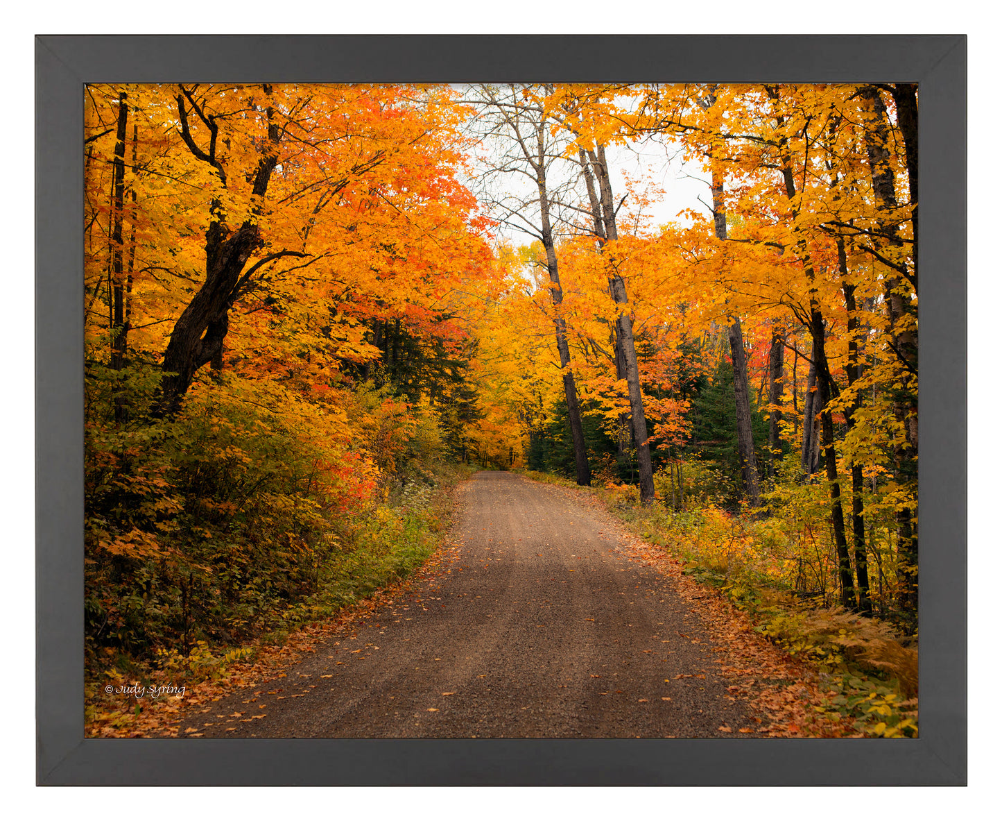 Round the Bend_Art Prints