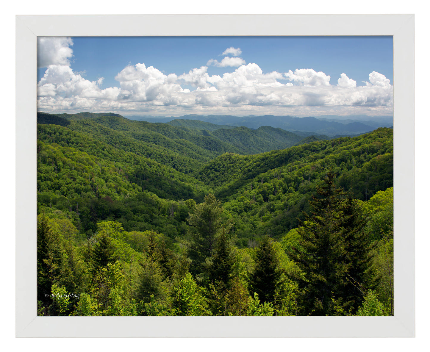 Smoky Mountains_Art Prints