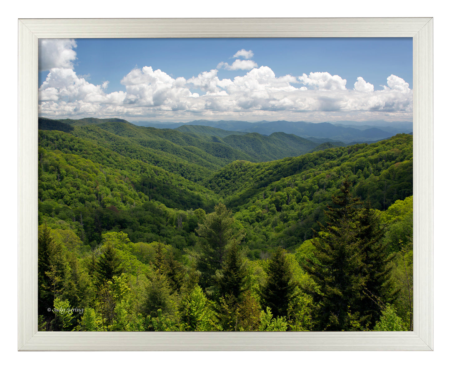 Smoky Mountains_Art Prints