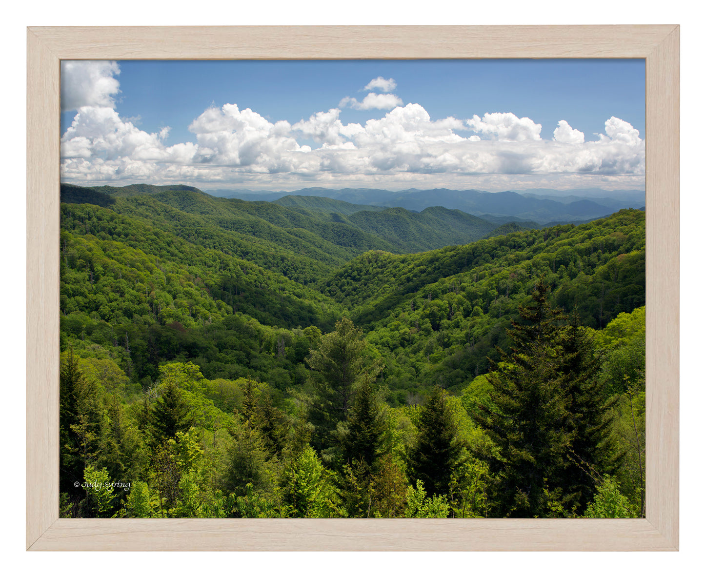 Smoky Mountains_Art Prints