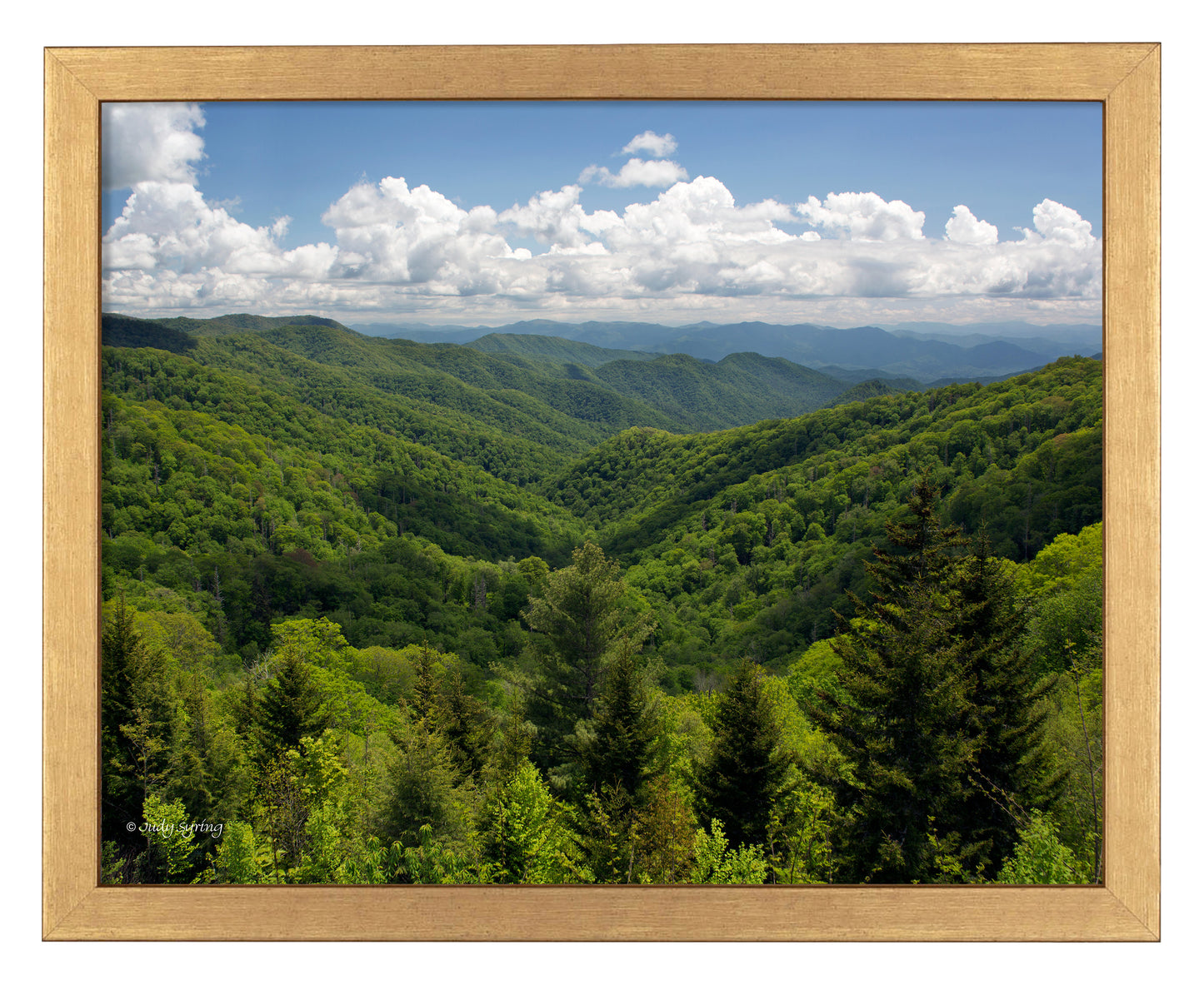Smoky Mountains_Art Prints