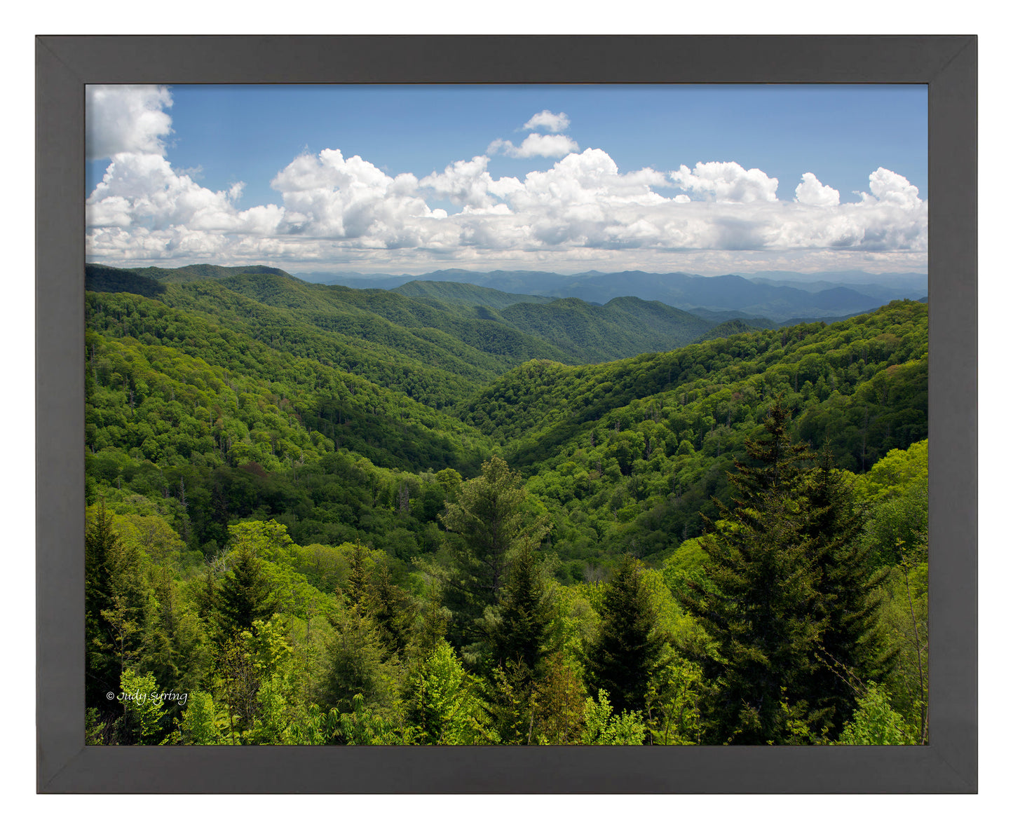 Smoky Mountains_Art Prints