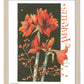 168500_11x14_Amaryllis_FRA_Print_NF.jpg