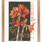 168501_11x14_Amaryllis_FRA_Print_GF.jpg