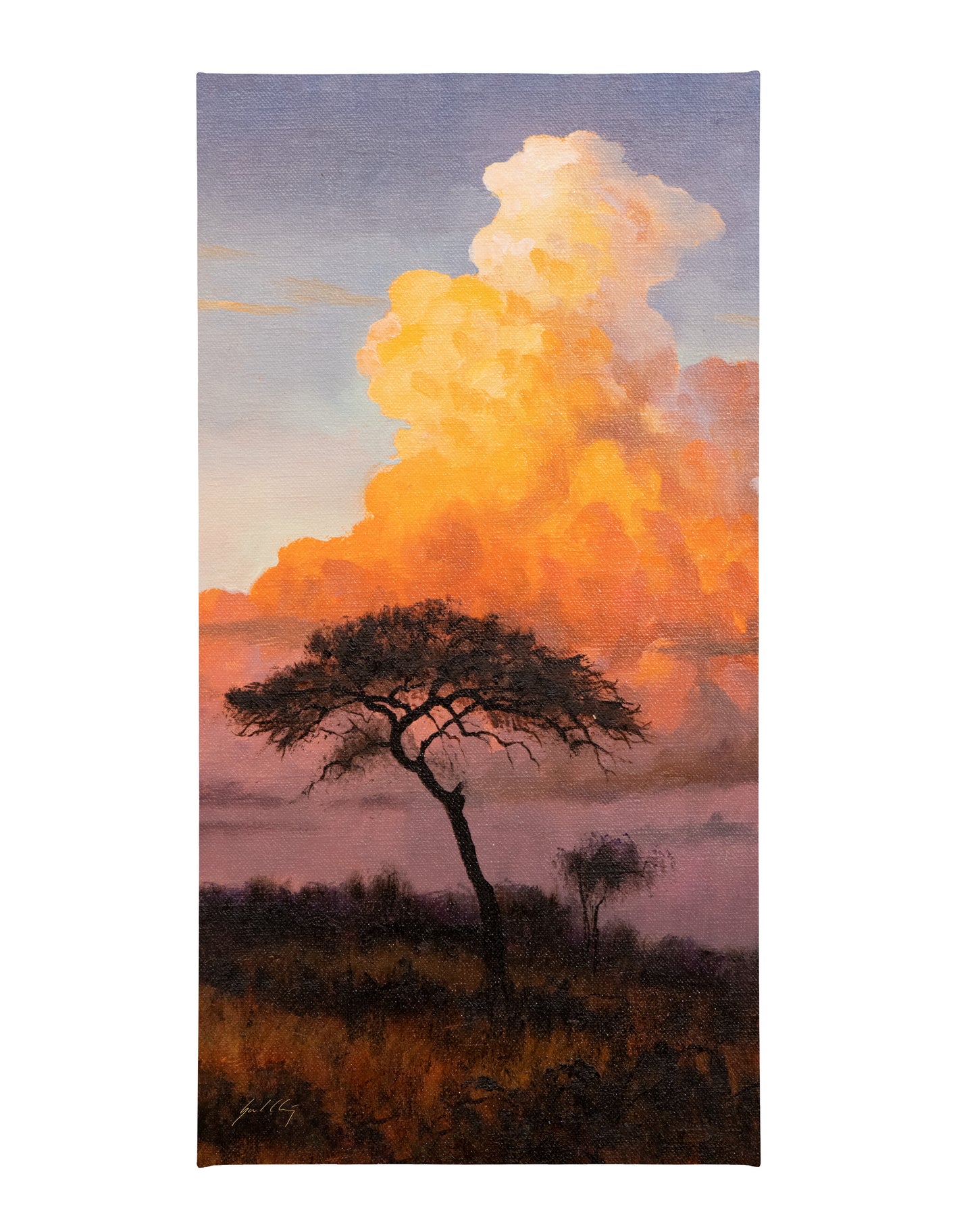 A Storm Tonight - 31" x 16" Gallery Wrapped Canvas