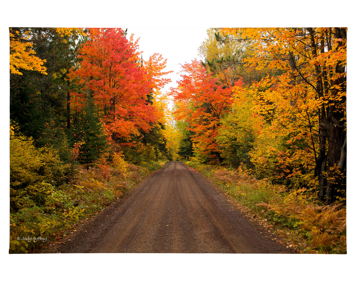 Autumn Bliss - 24" x 36" Gallery Wrapped Canvas