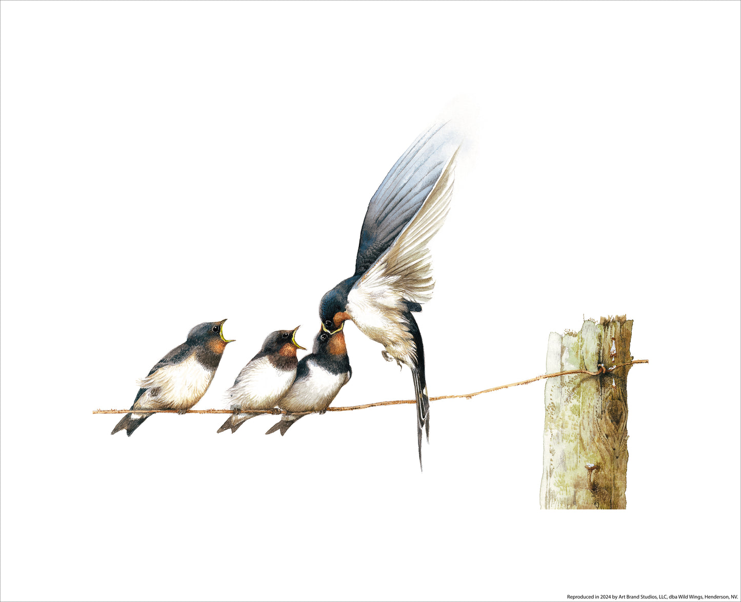 Lining Up - Art Prints