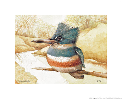 Kingfisher on Fishing River - Art Prints