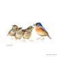 The Needy Bunch - Art Prints
