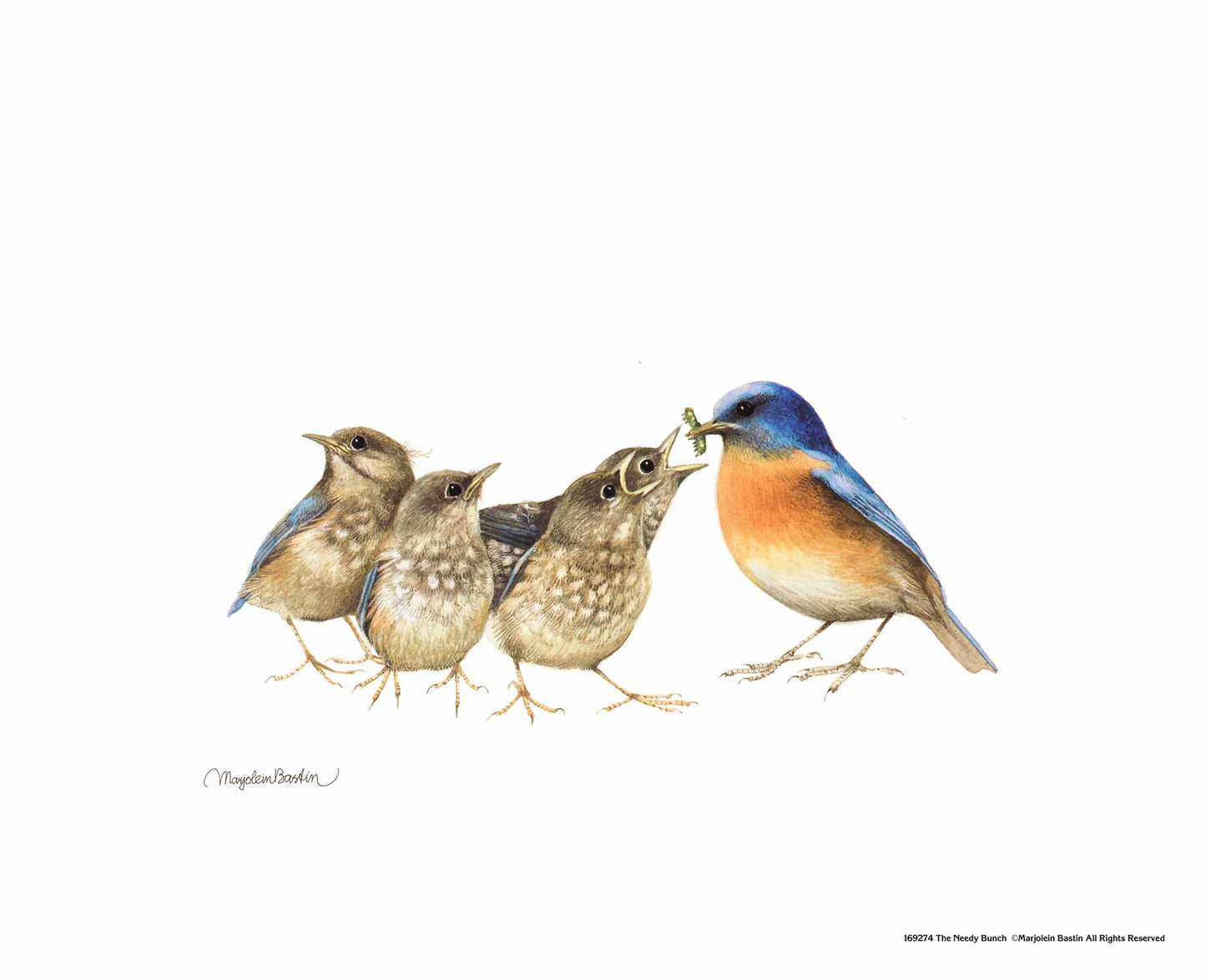 The Needy Bunch - Art Prints