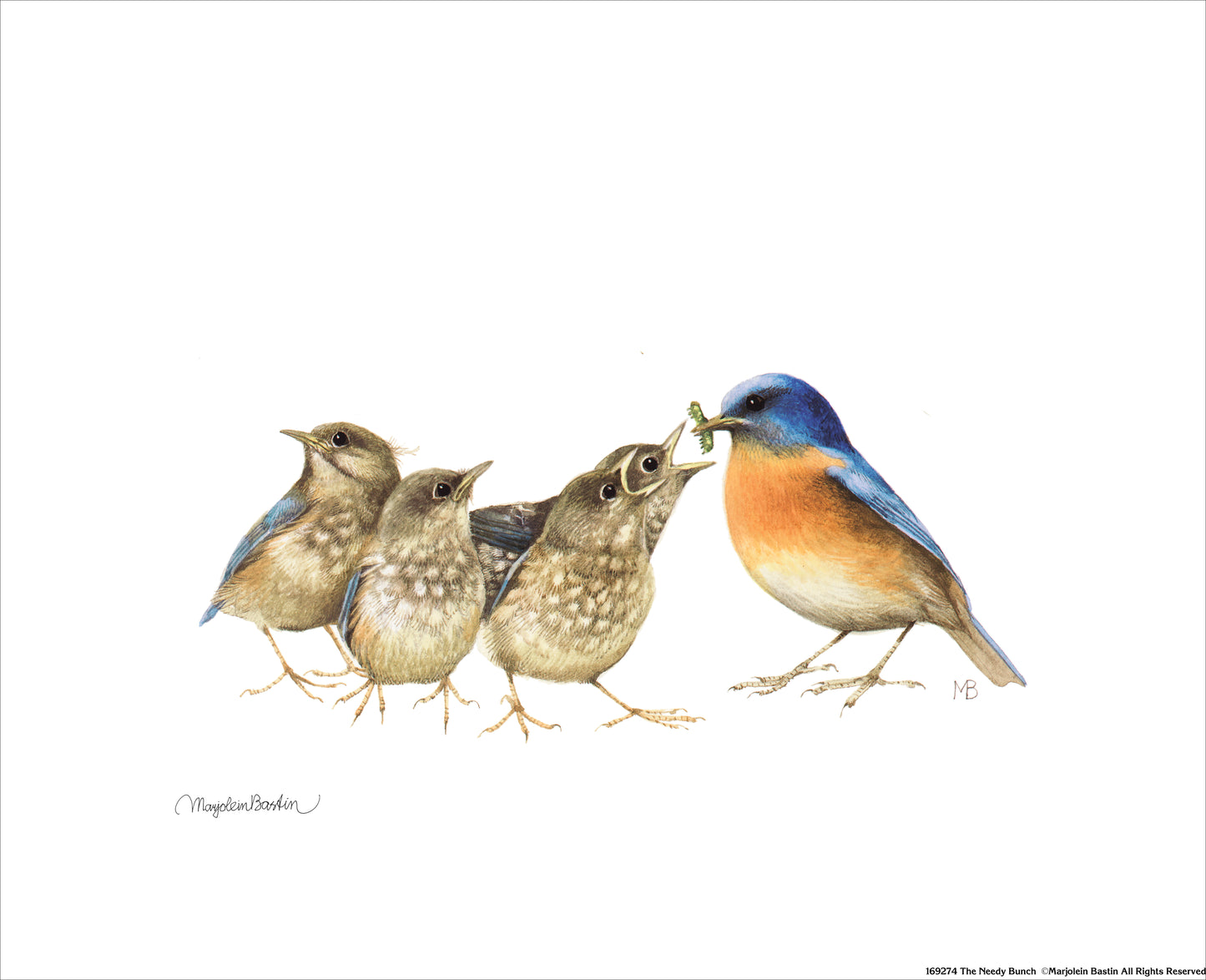 The Needy Bunch - Art Prints