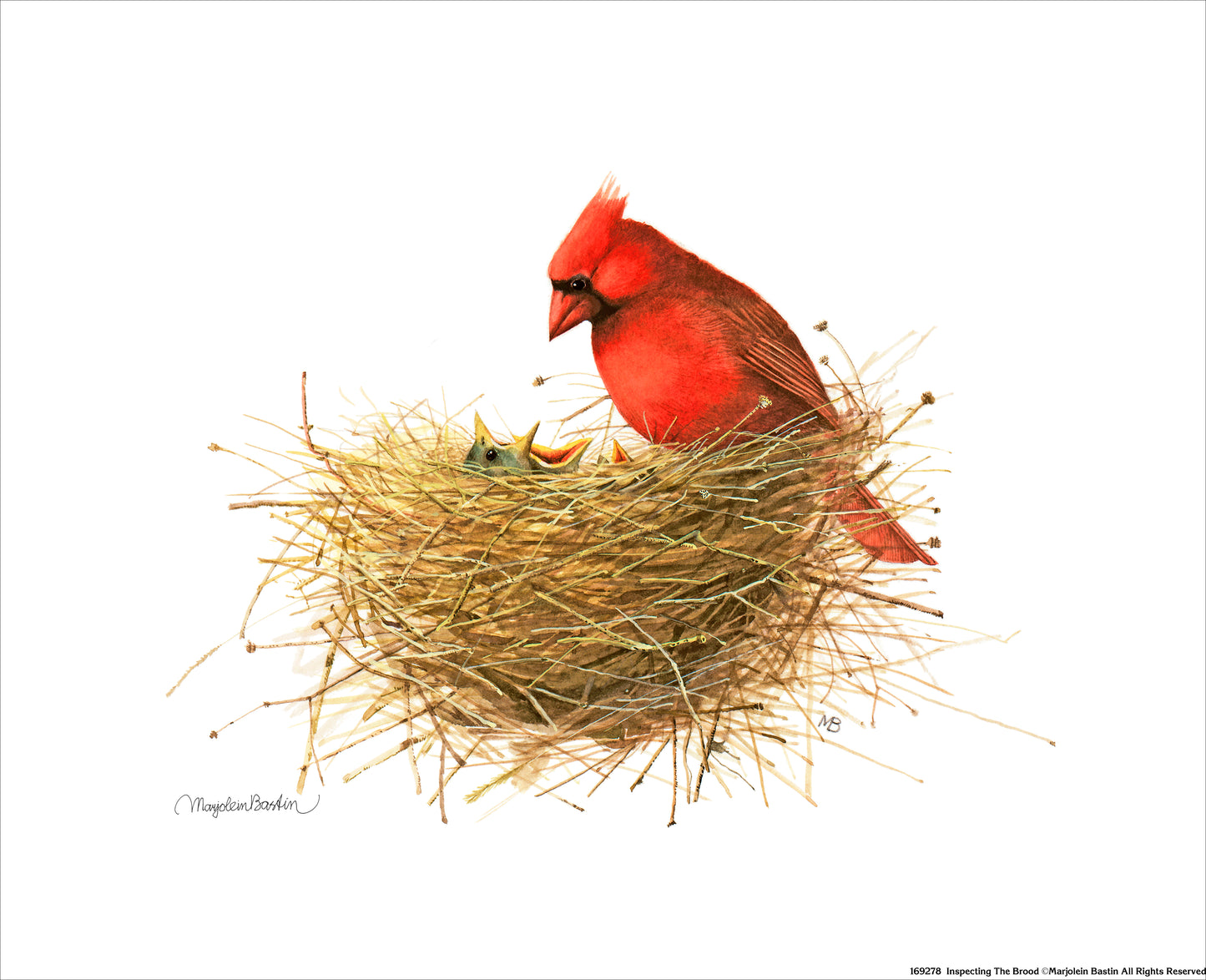 Inspecting the Brood - Art Prints