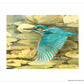 Kingfisher in Flight - Art Prints