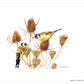 Winter Food - Art Prints