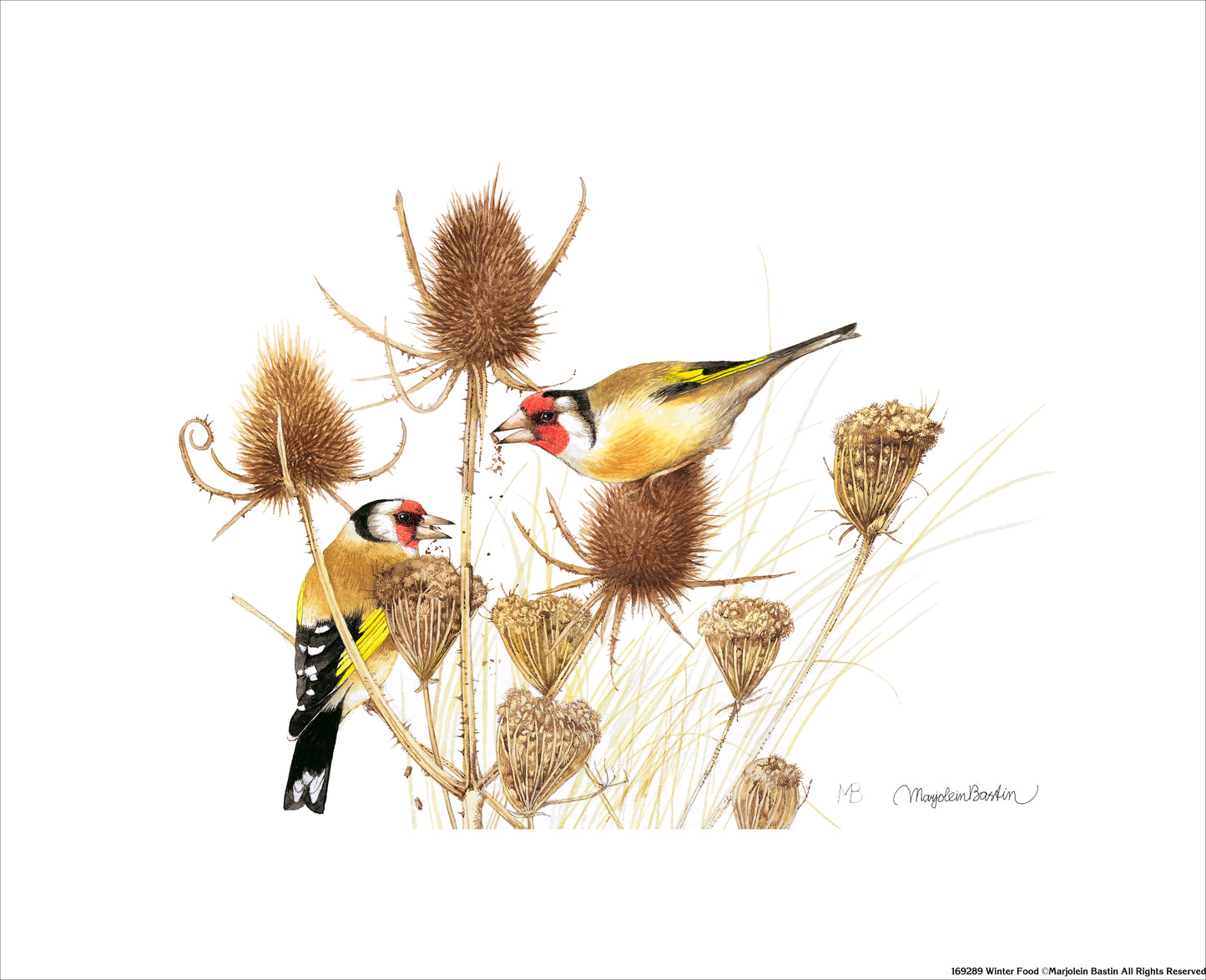 Winter Food - Art Prints