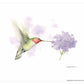 Precision Flight - Art Prints