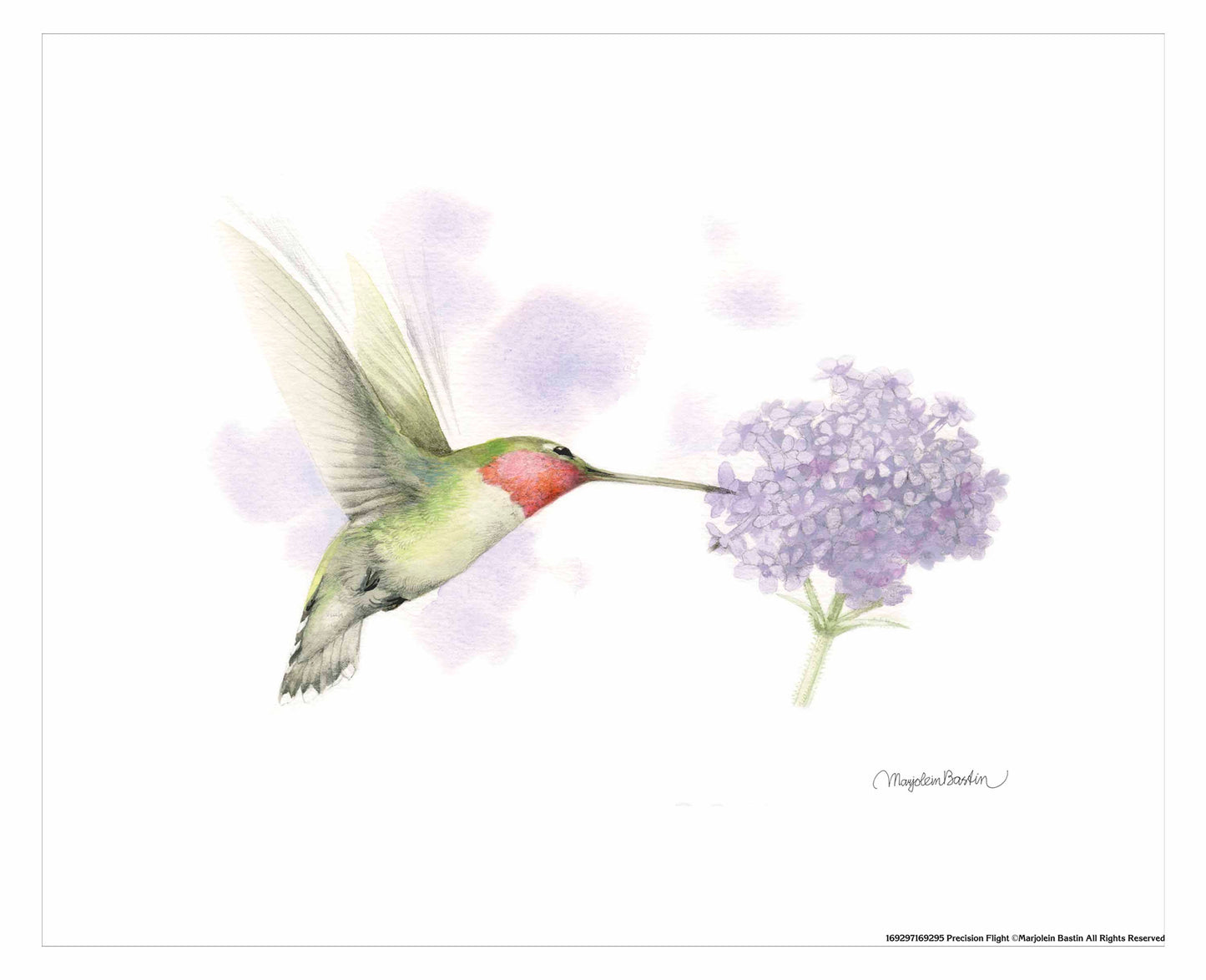 Precision Flight - Art Prints