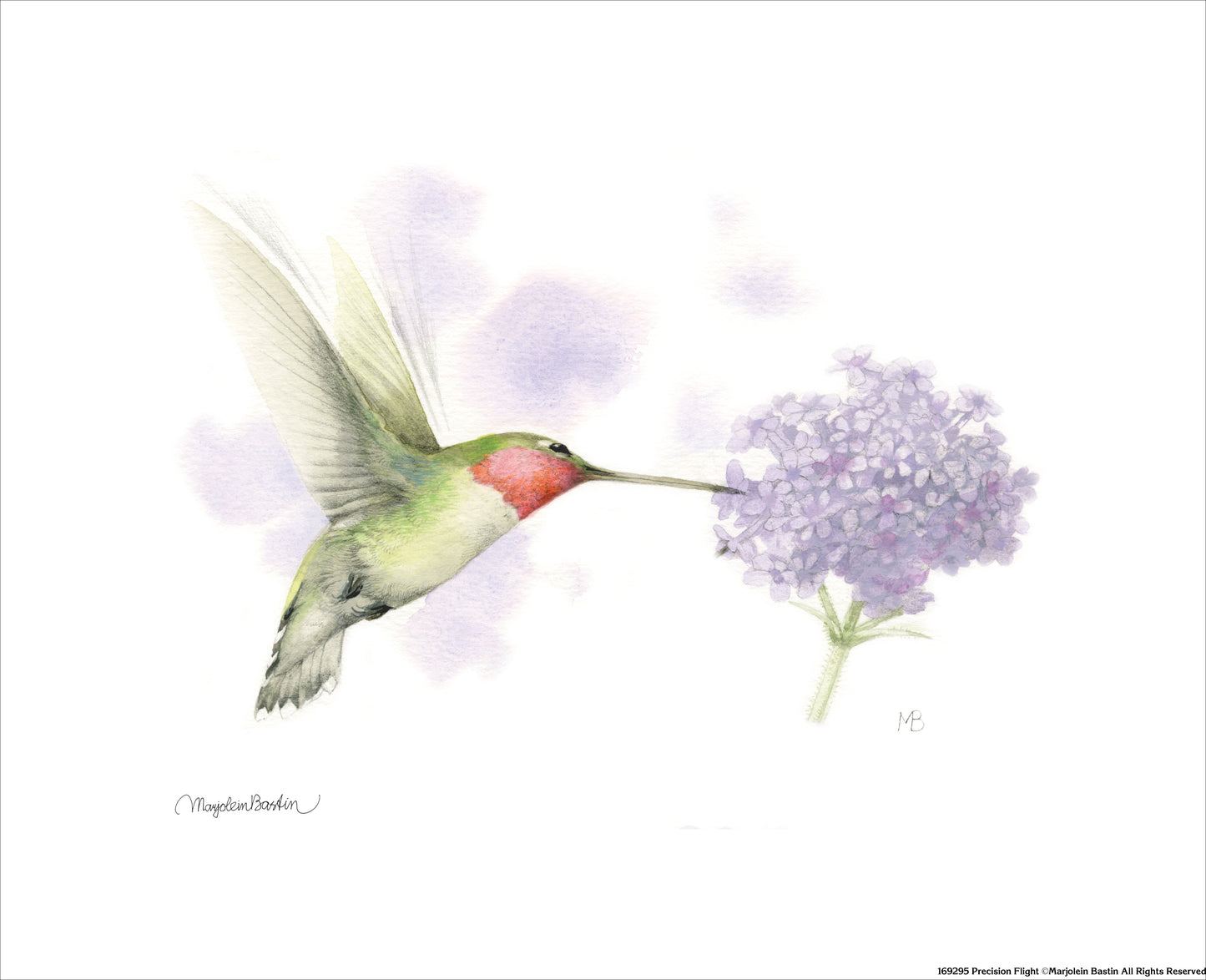 Precision Flight - Art Prints