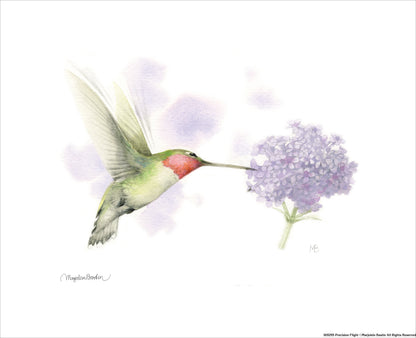 Precision Flight - Art Prints