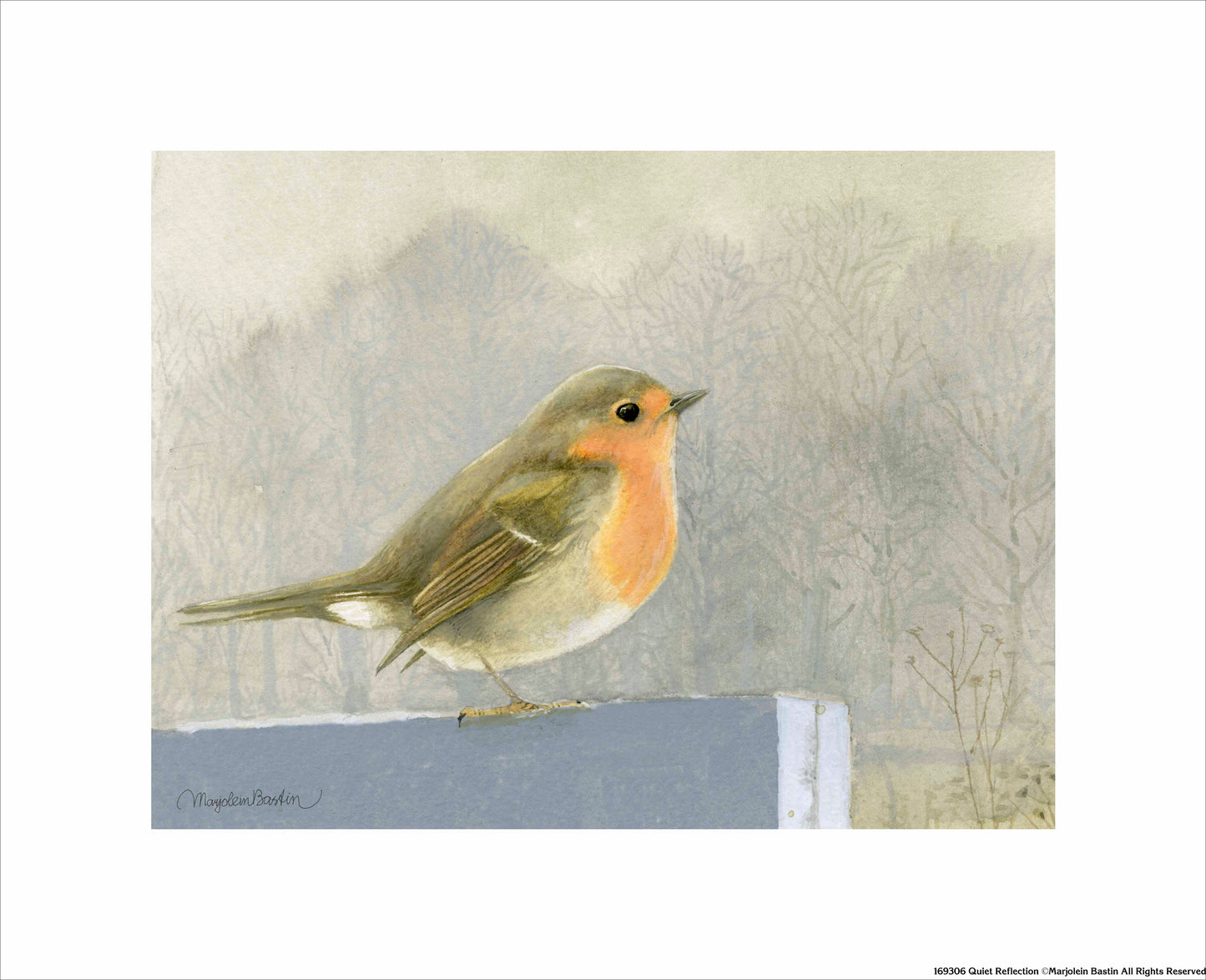 Quiet Reflection - Art Prints