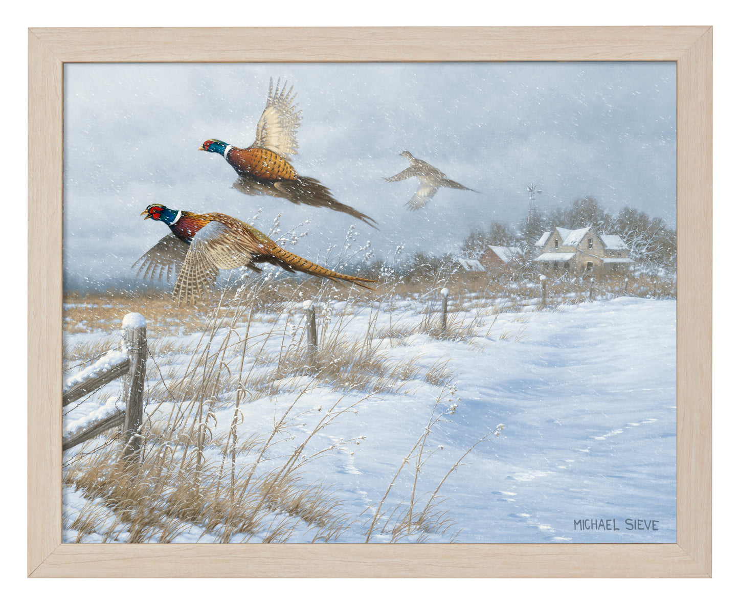 Snow Birds - Pheasants - Art Prints