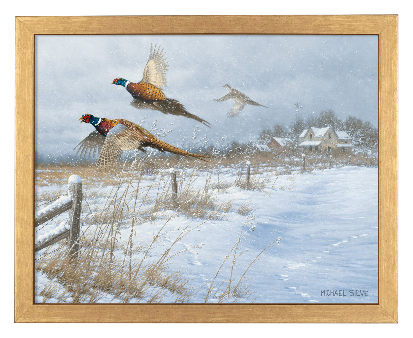 Snow Birds - Pheasants - Art Prints