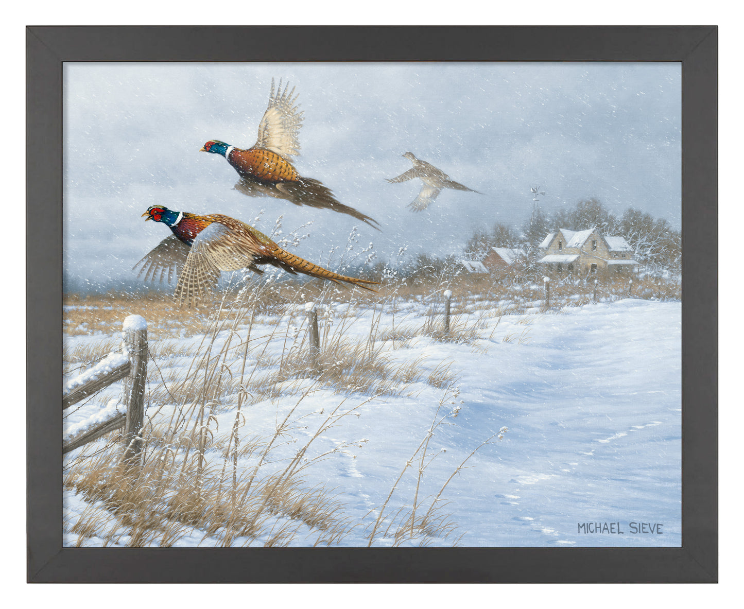 Snow Birds - Pheasants - Art Prints