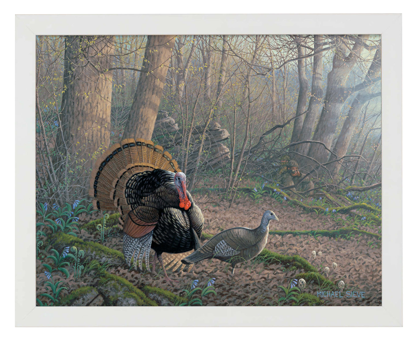 Tom Foolery - Turkeys - Art Prints