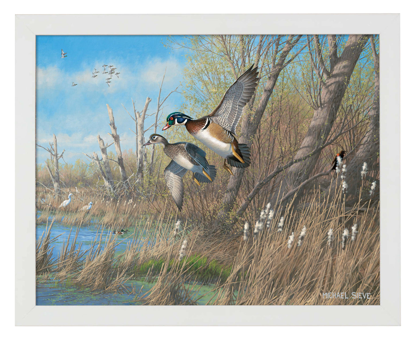 Sunday's Best Wood Ducks - Art Prints