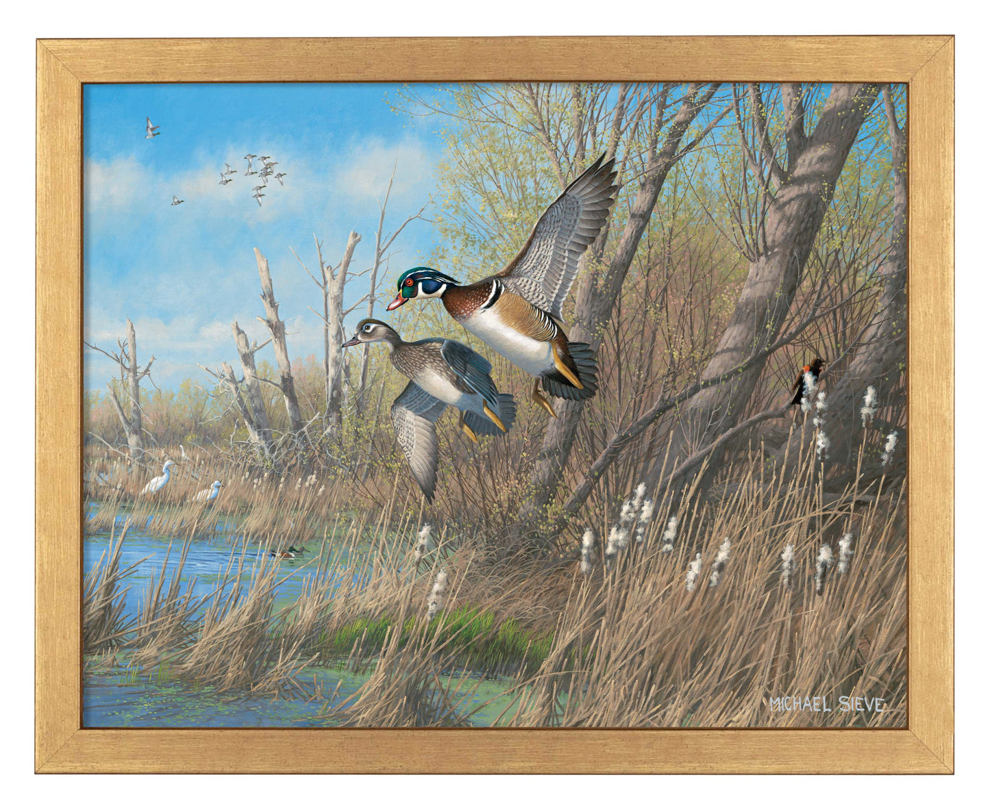 Sunday's Best Wood Ducks - Art Prints